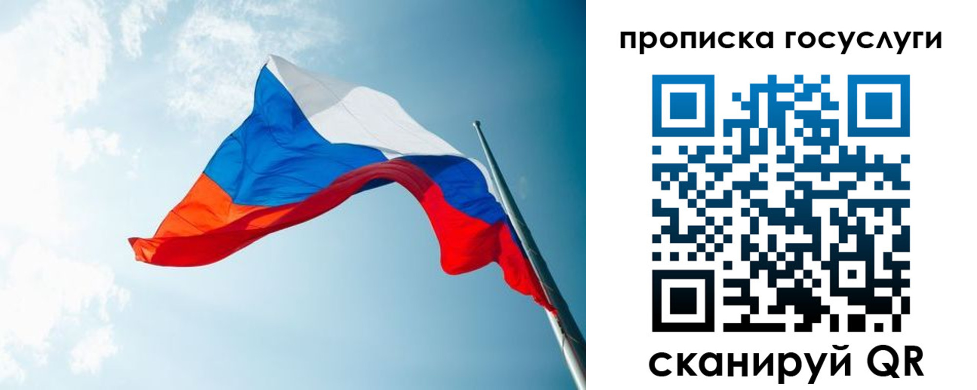 регистрация для школы в Владимирской области